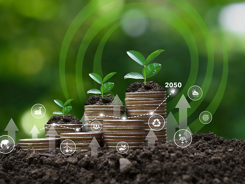 stacks of coins seem to grow out of the ground in progressively higher piles with small plants on top resembling a a bar graph in nature with arrows, numbers and the CGC logo super imposed on top.