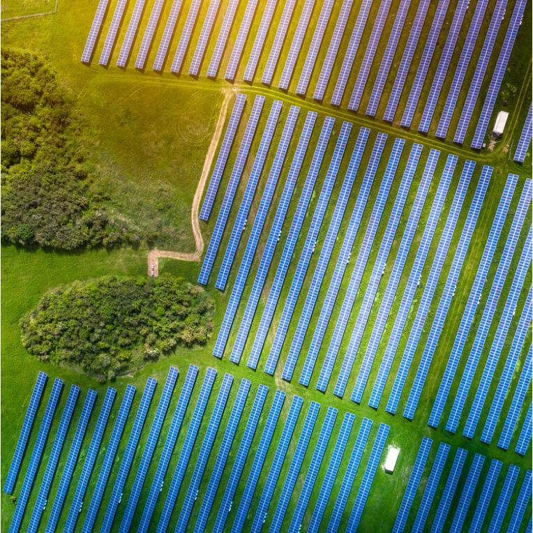 Array of solar panels in field
